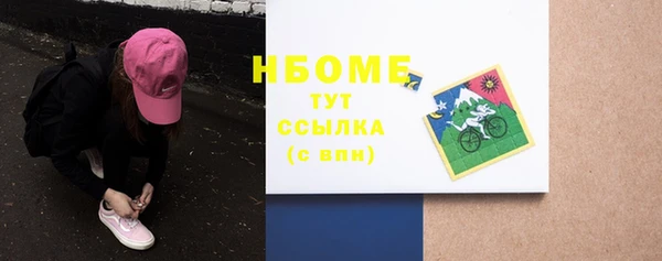 индика Абаза