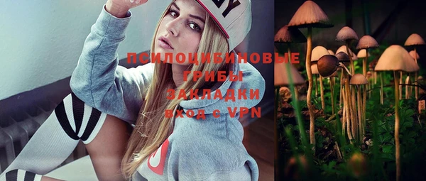 тгк Алзамай