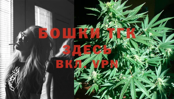 винт Алексин