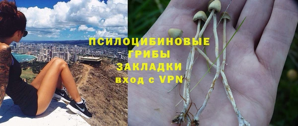 тгк Алзамай