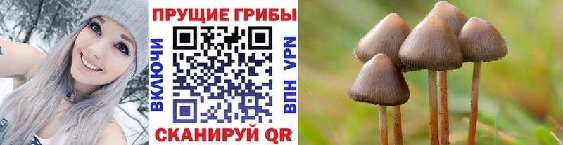 где купить наркотик Киров hydra ссылка Галлюциногенные грибы мухоморы