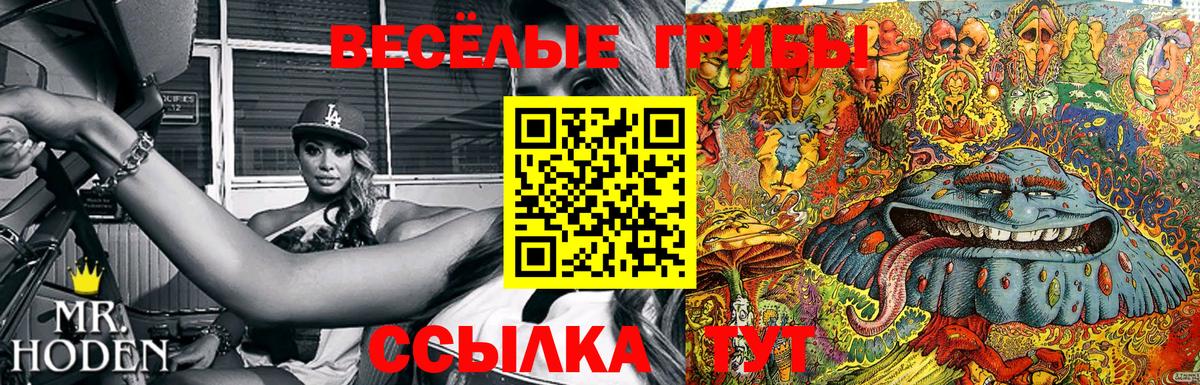 Киров  Псилоцибиновые грибы мухоморы  наркошоп  Вход с VPN 